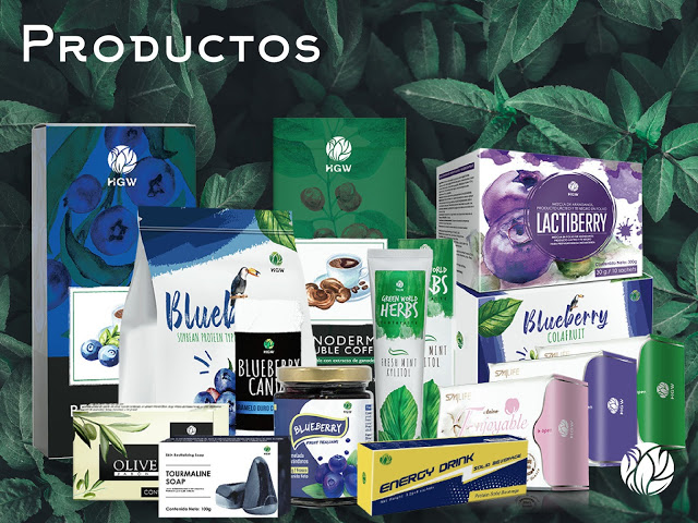 NUESTROS PRODUCTOS HGW
