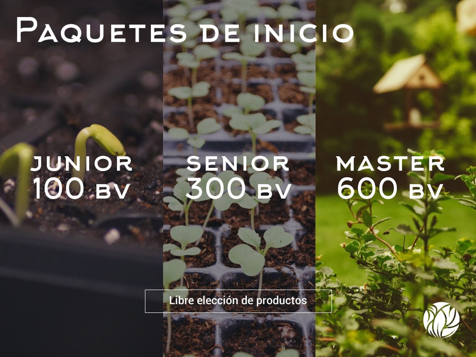 PAQUETES DE INICIO HGW